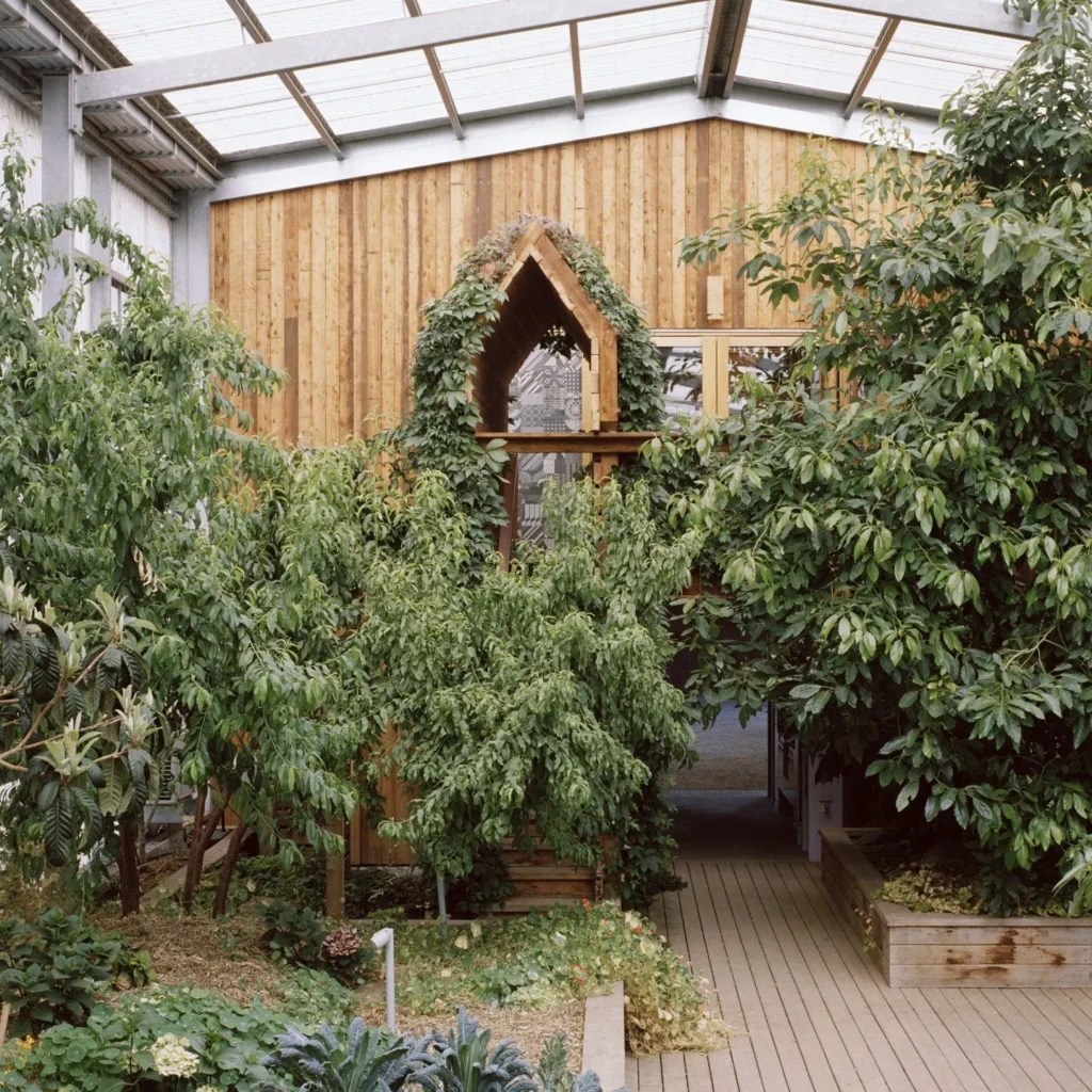 Architectural garden design with timber structure and lush planting in Melbourne, Victoria